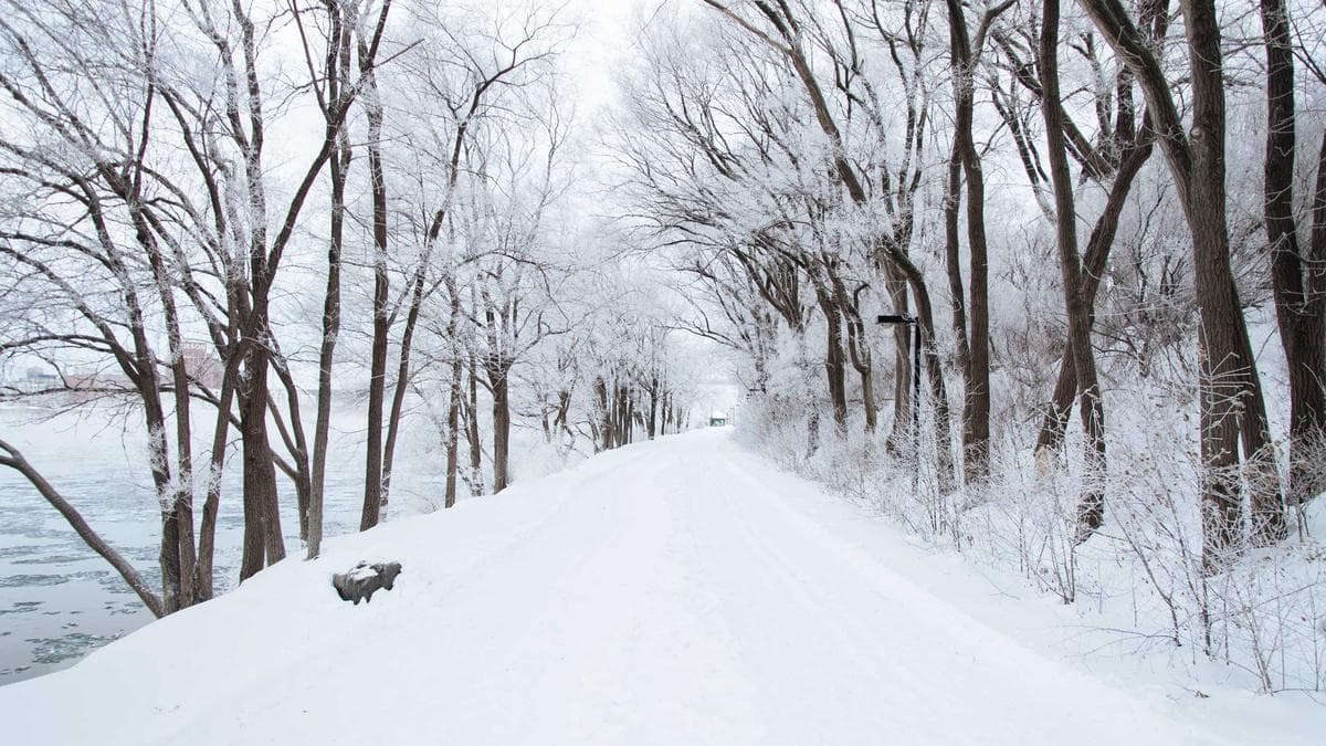 Volta Region Engages US Investors to Boost Entrepreneurship and Innovation