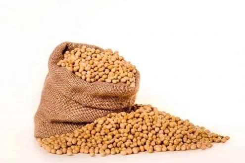 Unlocking Ghana’s “Green Gold”: Why the Nation Needs a Soybean Promotion Board