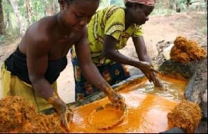 Ghana Strengthens Economic Framework with New Fiscal Council, Tax Reforms, and Regional Industrial Drives