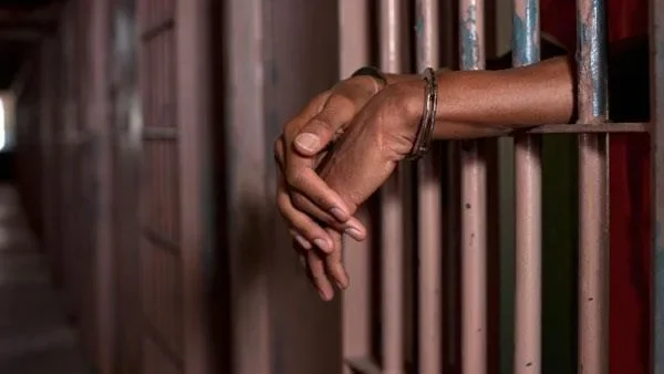 Tarkwa Farmer Sentenced to 18 Months for Destroying 68 Cocoa Trees