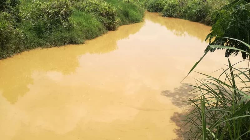 EPA Initiates Pilot Restoration Project to Clean Polluted Birim River in Adiukrom