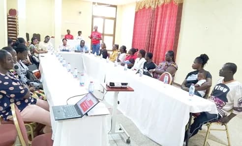 Participants in the presentation of the key findings