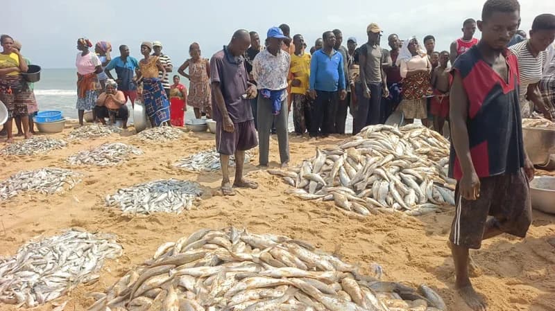 Ghana Spearheads National Reforms in Marine Conservation, Social Reintegration, and Professional Education