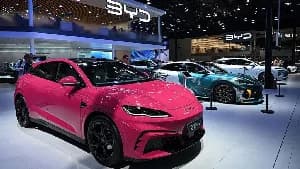 Global EV Market Shifts, Diaspora Wealth Movements, and Entrepreneurial Narratives Shape Current Business Landscape