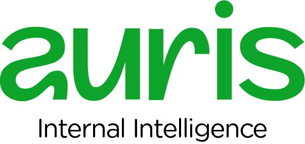 Auris: Revolutionizing Organizational Efficiency through Internal Intelligence and Collective Knowledge