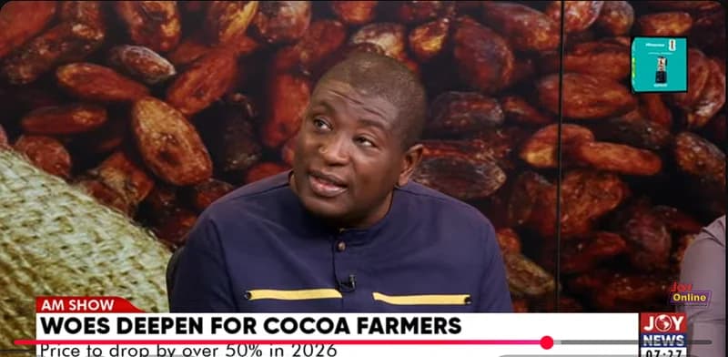 Ghana’s Economic Pillars Face Turbulence: Cocoa Smuggling Scandals, Gold Reserve Boosts, and Agricultural Diversification