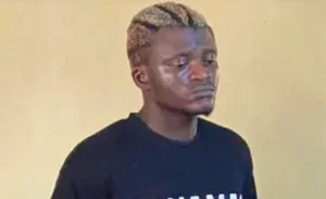 West African Music Scene Evolves: KiDi Goes Independent, Shatta Wale Rebrands, and 2026 TGMA Predictions Emerge