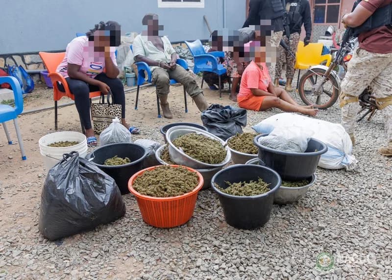 NACOC Dismantles Drug Dens in Major Weekend Crackdown Across Greater Accra and Oti Regions