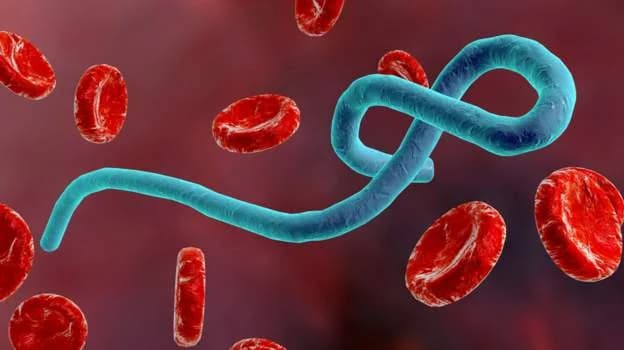 Ghana Health Sector Update: Ministry Issues Ebola Alert and Announces New Training Admissions
