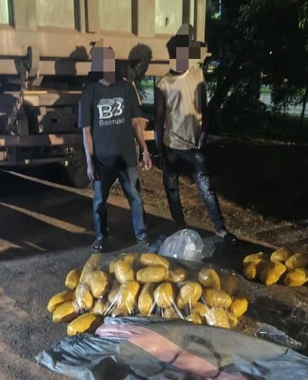 Tema Regional Police Seize 56 Sacks of Suspected Indian Hemp; Two Arrested in Afienya Operation
