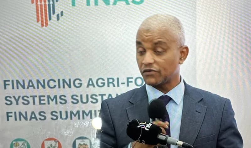 African Leaders Demand Urgent Climate Action and Innovative Financing to Bridge $100 Billion Agricultural Gap