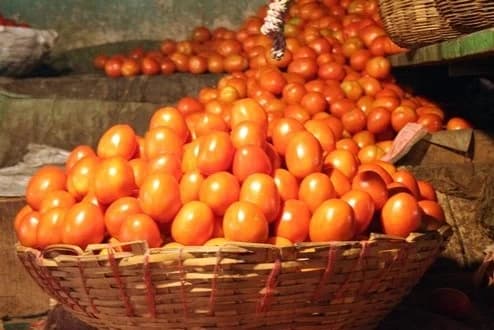 Ghana Targets Global Markets and Agricultural Growth Through Strategic Investments and Agritech Innovation