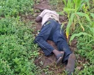 Farmer Kwabena Badam Arrested in Oti Region Following Fatal Shooting of Suspected Yam Thief