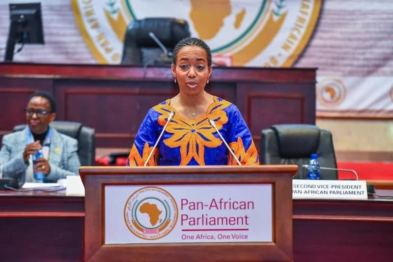 Zanetor Agyeman-Rawlings Urges African Leaders to Ratify Convention Ending Violence Against Women and Girls to Secure Continental Progress