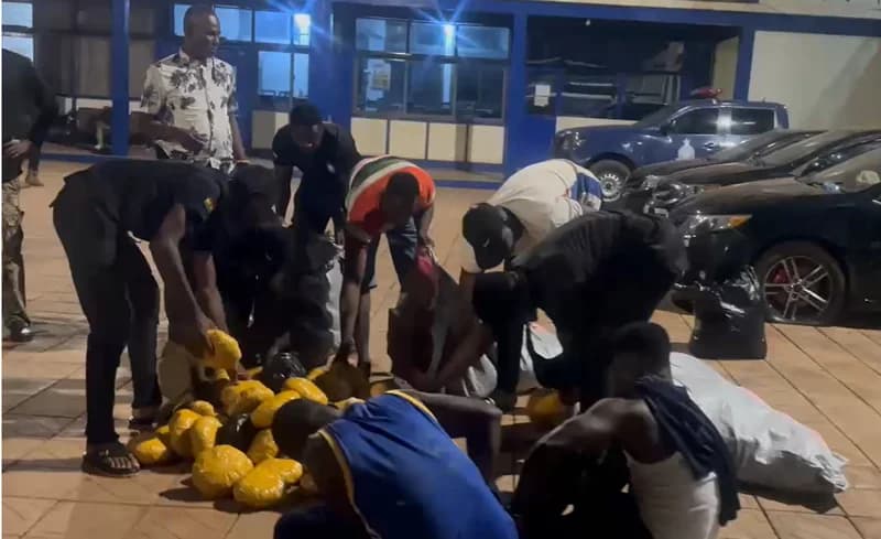 Northern Regional Police Arrest Two Suspects and Seize 170 Parcels of Suspected Indian Hemp in Tamale