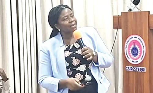 Dr Rose Omari, Principal Investigator at CSIR-STEPRI, addressing participants in the stakeholders' workshop