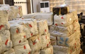 Algerian and South African Authorities Execute Major Narcotics Crackdown Amid Global Enforcement Operations