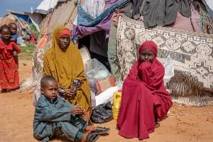 World Food Programme Warns One-Third of Somalia Faces Acute Hunger Amid Funding Cuts and Conflict