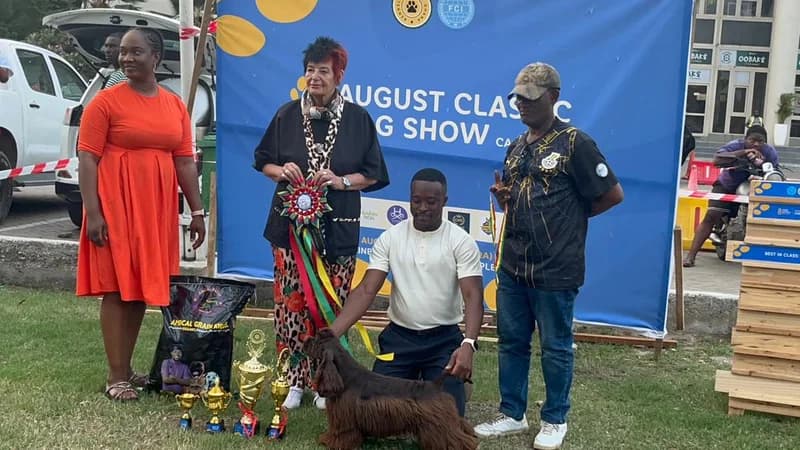 National Transition and Triumphs: Mourning Former Minister Ibrahim Adam While Ghanaian Dogs Sweep West African Awards