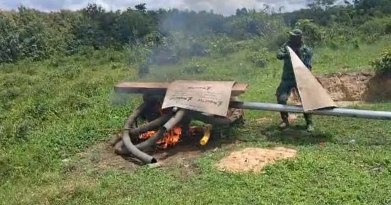 Ghana Intensifies Environmental Protection: Vice President Leads Shea Regeneration as Security Forces Combat Illegal Mining