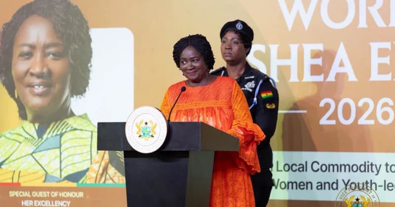 Vice President Opoku-Agyemang and Prof. Douglas Boateng Champion Local Industrialisation and the "Made in Africa" Agenda