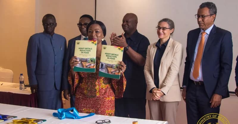 Ghana FDA and Ministry of Health Launch Five-Year National Plan to Combat Toxic Heavy Metals in Food
