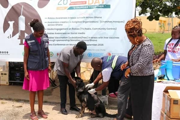 Veterinary Services Department Launches Free Rabies Vaccination Campaign Amid Calls for Integrated "One Health" Approach
