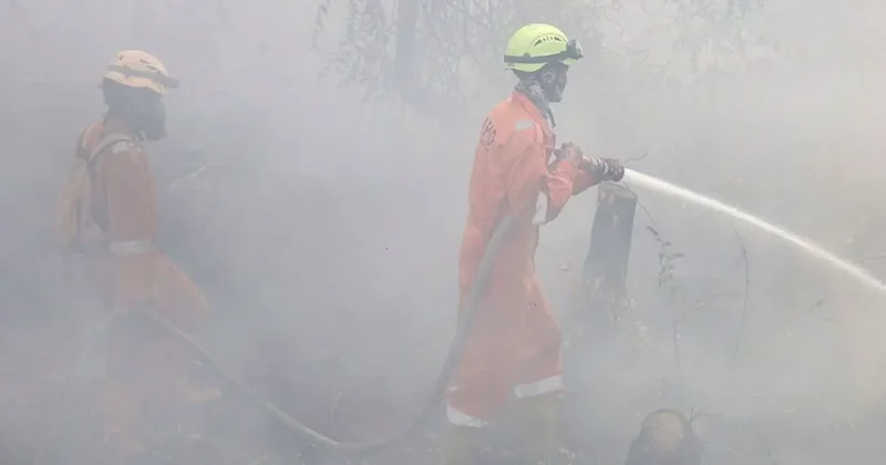 Two firefighters in orange protective gear work through thick smoke to extinguish a fire in Indonesia. One responder is seen aiming a high-pressure water hose at a smoldering area while surrounded by a dense haze that obscures the background.
