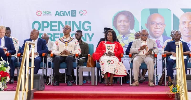 Vice President Naana Jane Opoku-Agyemang Outlines Five-Year Strategy to Reach 70% Local Medicine Production