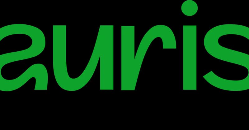 Auris – Internal Intelligence AI Assistant Targets Human Resource Efficiency and Knowledge Retention
