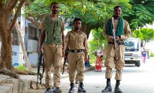 Ethiopia Accuses Neighboring States of Backing Tigray Rebels as Renewed Fighting Displaces 150,000
