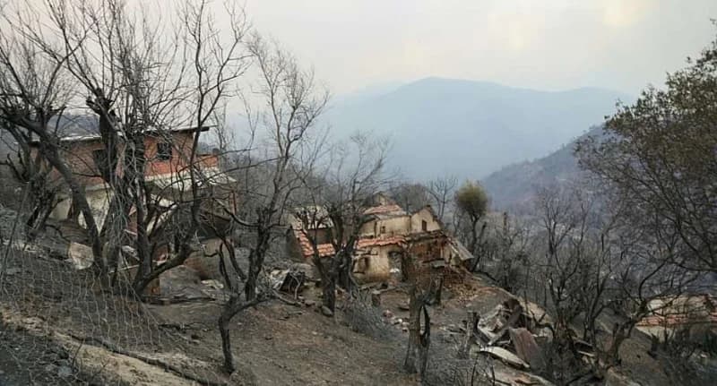 The image depicts a desolate landscape showing the aftermath of a wildfire in a hilly region, likely in Algeria. Several houses and structures are heavily damaged or destroyed, surrounded by charred, leafless trees and a smoke-filled, hazy mountain backdrop.