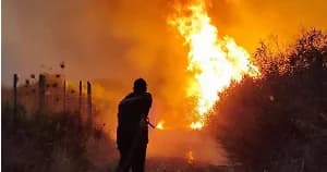 Algerian Lawmakers Approve Death Penalty for Forest Arsonists and Child Kidnappers Following Deadly Wildfires