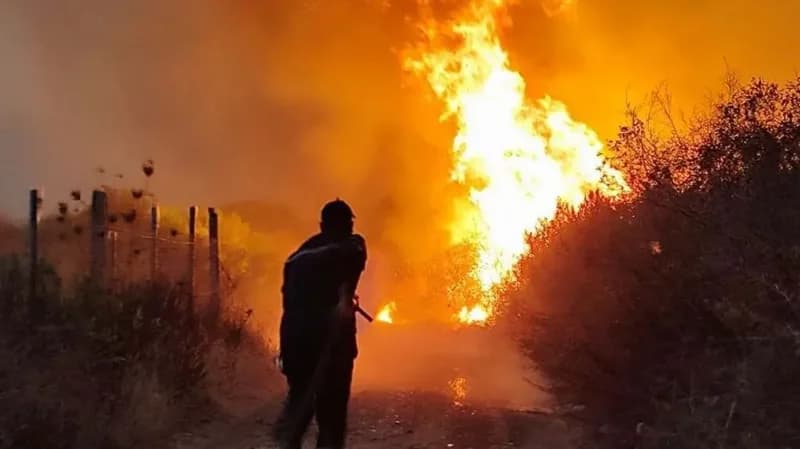 Algeria Proposes Death Penalty for Arsonists and Abductors Following Devastating Wildfires