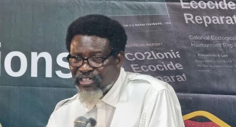 A man with a grey goatee and glasses is captured speaking into a microphone at an event. Behind him is a banner with text related to 'Ecocide Reparations' and 'Colonial Ecological' damage, highlighting environmental and political discourse in Africa.