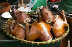 Veterinary Officer warns Dagaabas and Frafras against eating unvaccinated dogs