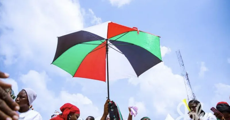 NDC Internal Reorganization Intensifies with Vetting in Effutu and High-Profile Disqualification in La Dadekotopon