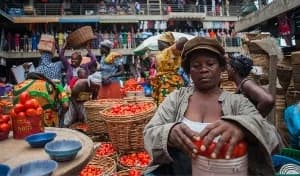 NAFCO CEO George Abradu-Otoo Calls for Agri-Tech Investment Amid Kenya's Climate-Driven Food Crisis