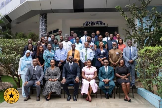 AI must not replace human judgment in public spending — BoG Governor Asiama