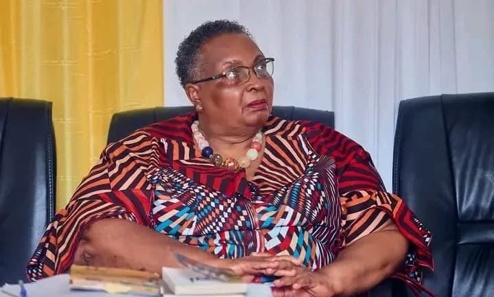 Esi Sutherland-Addy urges Ghana to deepen diaspora engagement
