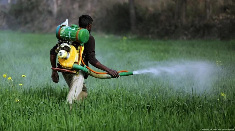 Neonicotinoid insecticides linked to 27% drop in sperm concentration