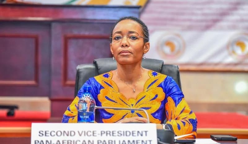 Dr. Zenator Agyeman-Rawlings, a prominent Ghanaian Member of Parliament, is pictured seated during a formal session. She is positioned behind a sign identifying her as the Second Vice-President of the Pan-African Parliament.