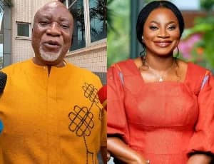 Hopeson Adorye admits NPP created fake Charlotte Osei campaign flyer