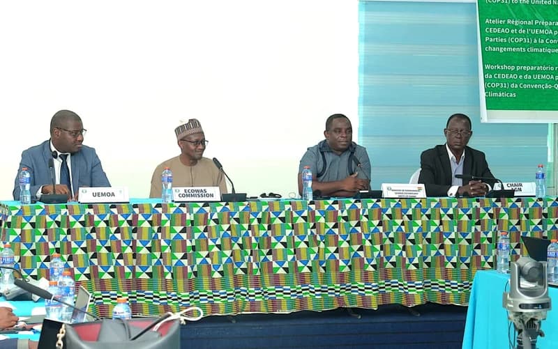 Four officials are seated at a conference table during a regional preparatory workshop for ECOWAS and UEMOA in Accra, Ghana. The table is draped in a vibrant traditional Ghanaian patterned cloth, and nameplates identify the participants' affiliations, including the ECOWAS Commission and UEMOA.