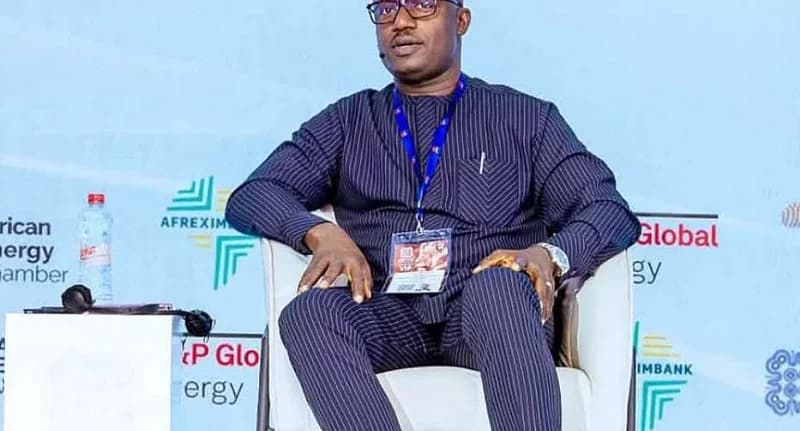 John Abdulai Jinapor urges domestic gas use for African power generation