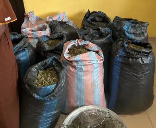 Police arrest man for cultivating cannabis along Volta Lake