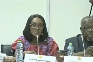 PAC halts hearing, discharges 30 MMDAs over DACF administrator’s absence