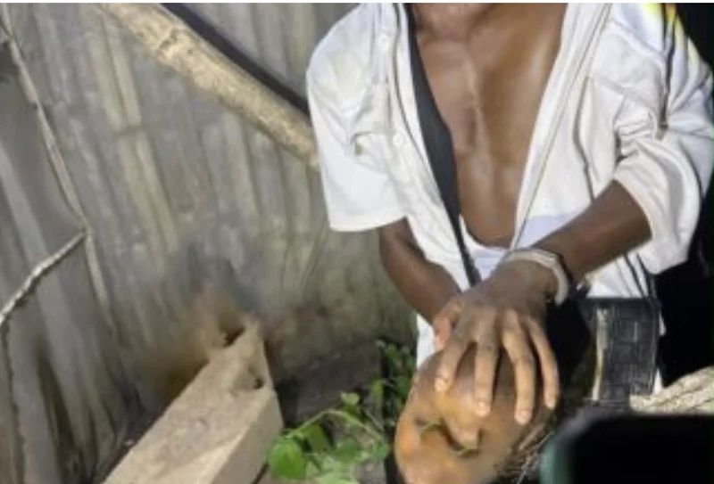 Robert Akator arrested over murder of two-year-old boy in Wli-Afegame