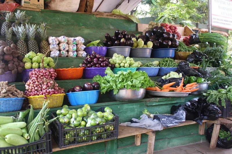 Toxic metals from galamsey found in vegetables across mining districts - Study