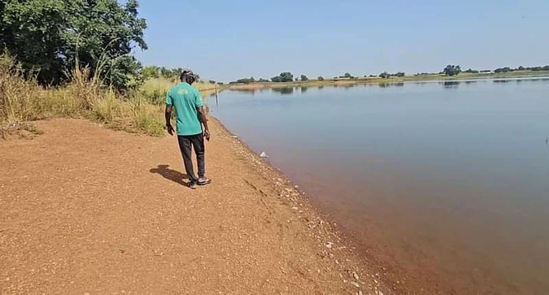 Kusaug residents warned against using dams after mysterious fish deaths